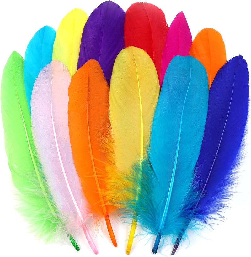 Ballinger Colorful Goose Feathers for Crafts - 120Pcs 6-8inch Craft Colored Feathers for DIY Crafts,Angel Wings,Dream Catcher and Wedding Party Decor - Image 1